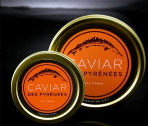 Caviar des Pyrénées, la perle des montagnes