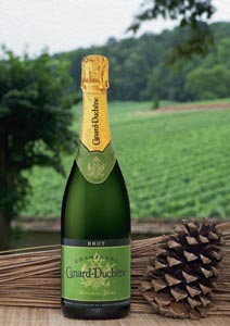 Frais et bio, champagne Authentic Green de Canard-Duchêne