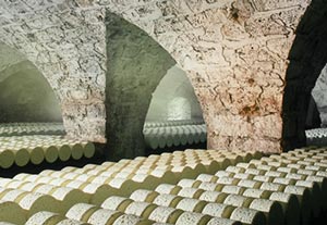 Visitez les Caves Baragnaudes de Roquefort !