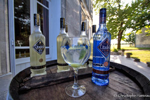 Gin Citadelle et Reserve 2013