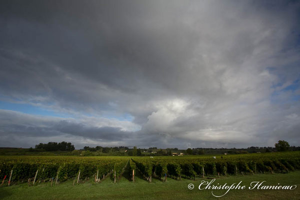 A la découverte des Côtes de Bordeaux