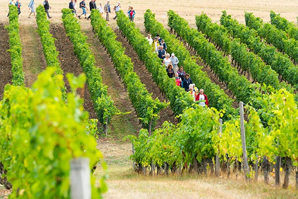 En septembre c’est Vignes, Vins, Randos en Val de Loire !