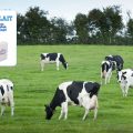 Cinq laiteries ouvrent leurs portes pour la Journée Mondiale du Lait