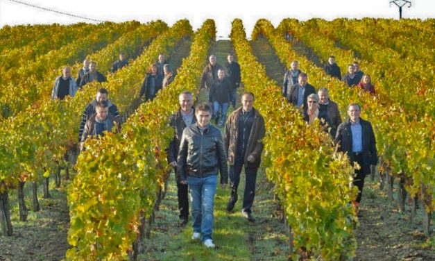 Vignobles Gabriel & Co le collectif Fair for life