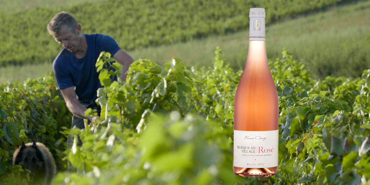 Beaujolais Rosé Franck Chavy, Bouteille du WE