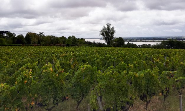 Au sud de Blaye, Le Clos du Notaire