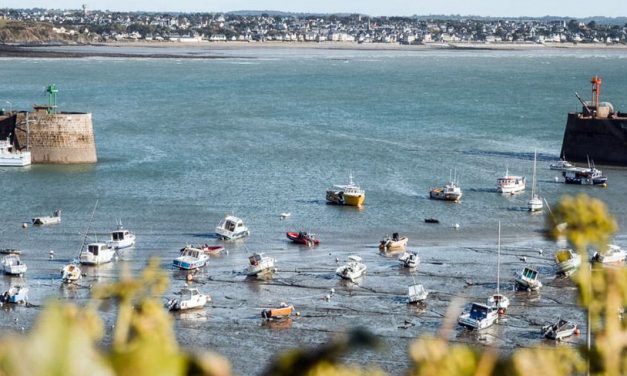 Entre mer et terre, la gastronomie manchoise