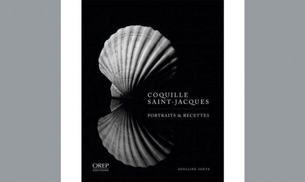 Sélection de livres pour Noël