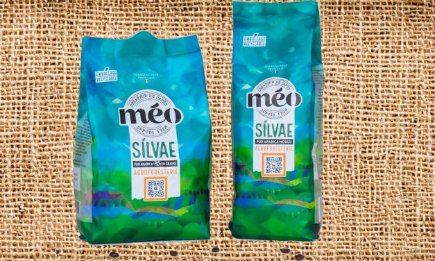 Silvae, un café responsable 100% arabica