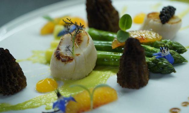 Morilles, asperges vertes et Saint-Jacques