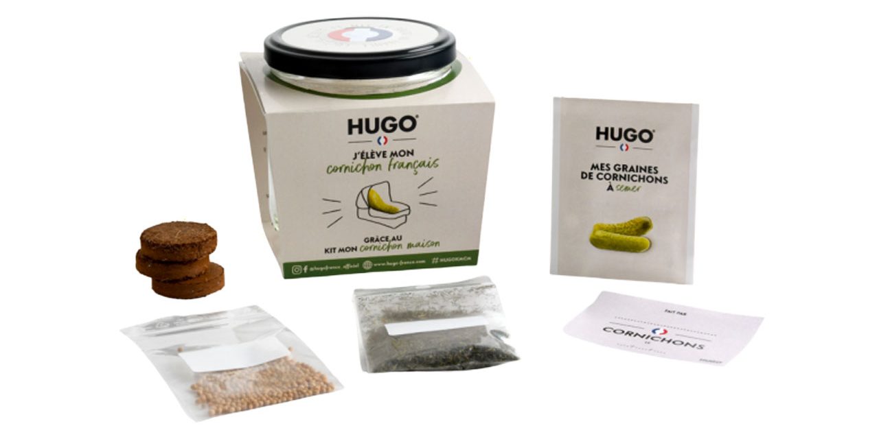 Planter et faire ses cornichons avec Hugo !