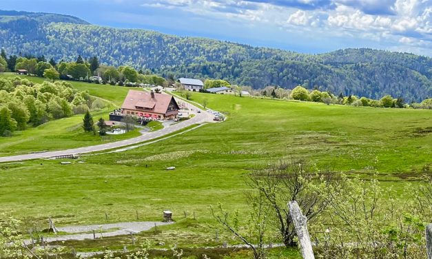 Vosges du Sud : l’été en pentes douces
