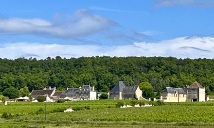 Chinon : une table dans les vignes