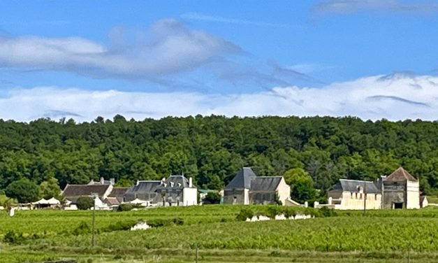 Chinon : une table dans les vignes