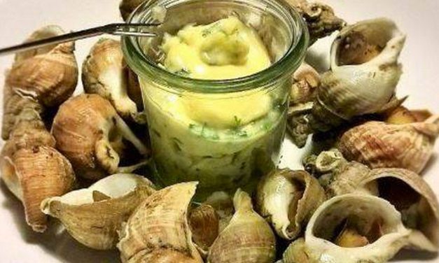 Le bulot, un coquillage aussi à cuisiner  