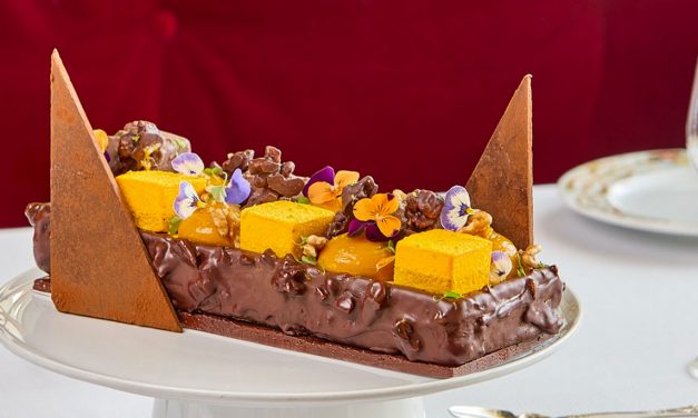 26 bûches de Noël à découvrir !