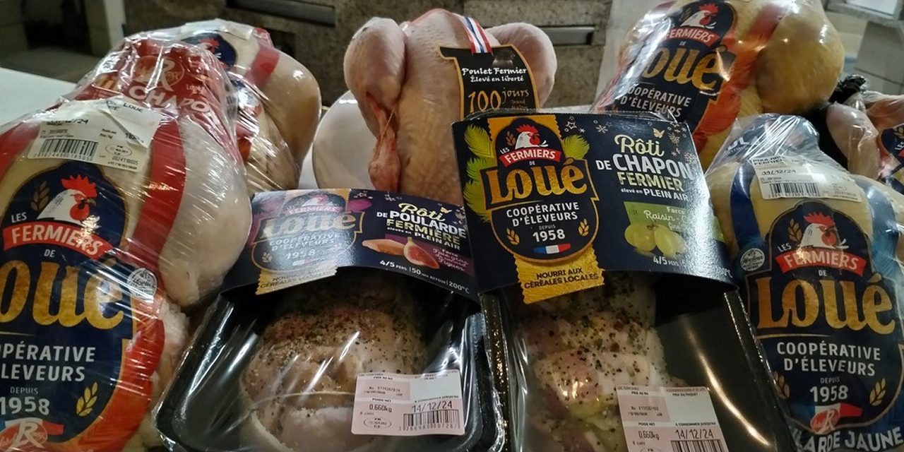 La volaille de Loué, un produit d’exception pour les Fêtes