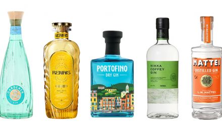10 gins pour trinquer à l’été