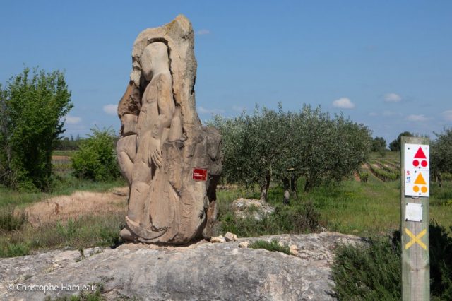 Sur le parcours de randonnée de la cave coopérative Les Vignerons Montagnac Domitienne