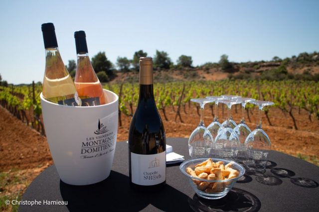 Apéro dans les vignes des terres rouges