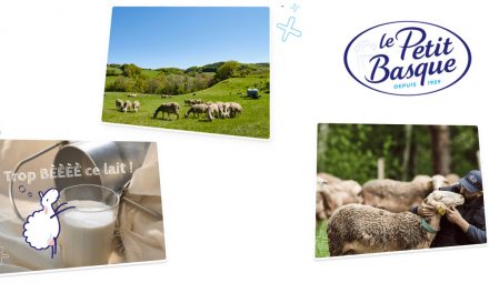 Le Petit Basque revalorise le lait de brebis