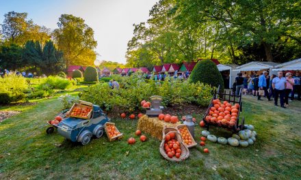 15ème édition du Marché des Producteurs au Domaine Les Crayères