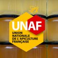 Une année douce-amère pour les apiculteurs français