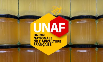 Une année douce-amère pour les apiculteurs français