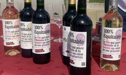 « 100 % équitable » de Vignobles Gabriel & Co, Bouteilles du Week-End