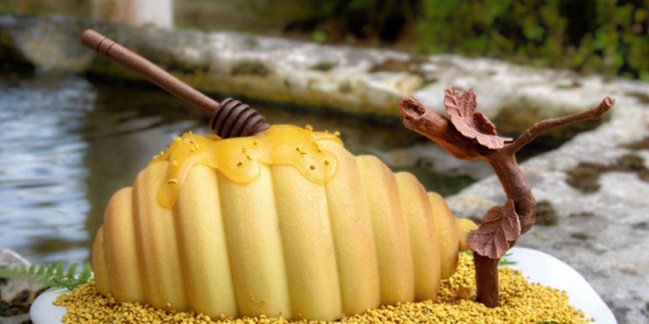 Bûche de Noël, à nos yeux et à nos papilles