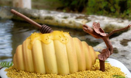 Bûche de Noël, à nos yeux et à nos papilles