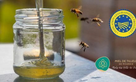 Le miel de tilleul de Picardie décroche son IGP