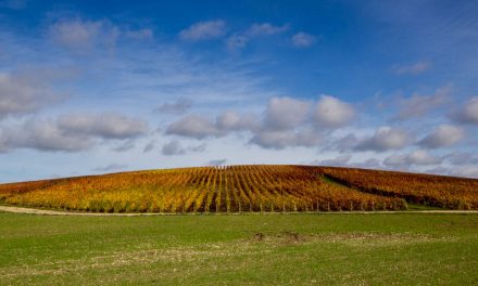 L’automne est une palette de couleurs, le vin en est le pinceau