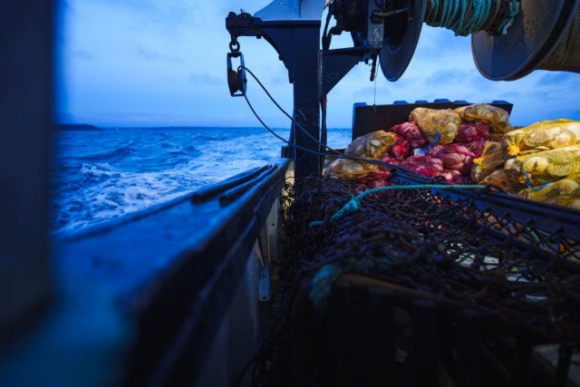 Selon votre coup de fourchette, quatre à cinq noix suffisent pour un plat principal, deux à trois noix pour une entrée. On peut dès lors concocter de succulentes assiettes pour moins de 5 € par appétit