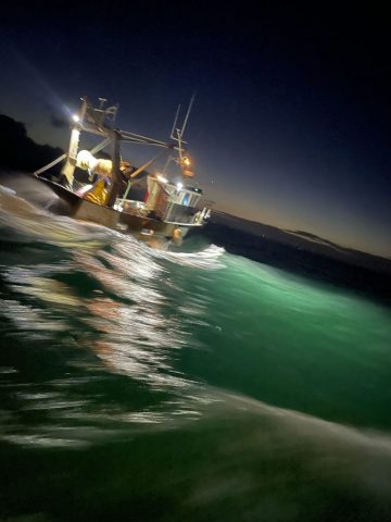 Ca tangue parfois… La licence ne donne le droit de capturer la coquille que les lundis et mercredis d’octobre à.avril, pendant une durée de 45 minutes seulement