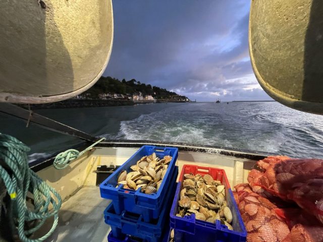 5e baie du monde pour l’amplitude de ses marées et deuxième plus grand gisement de coquilles de France, la Baie de Saint-Brieuc est maintenant certifiée « pêche durable »