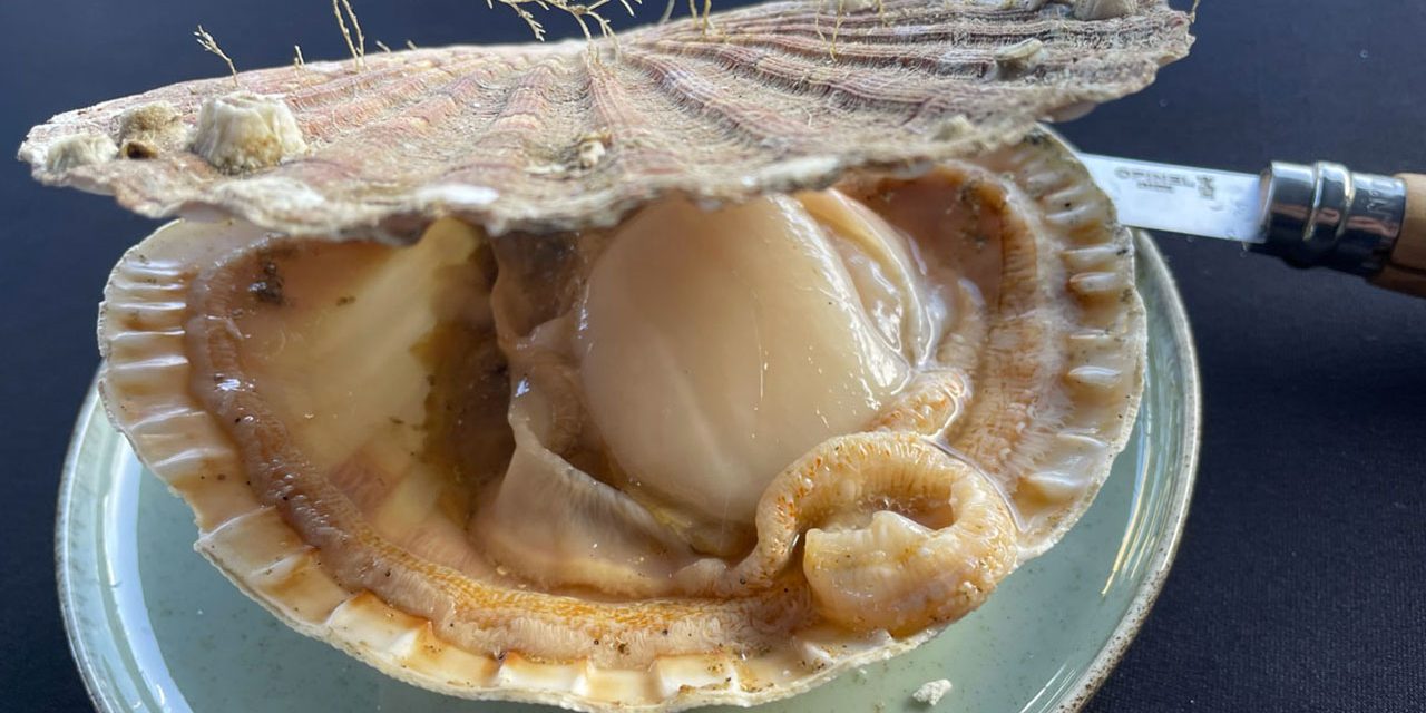 Saint-Brieuc : une Bretagne pour « fines goules »