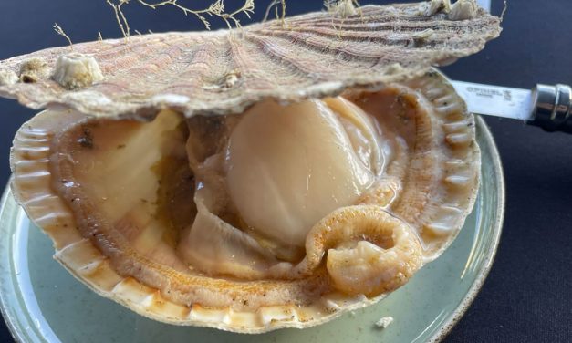 Saint-Brieuc : une Bretagne pour « fines goules »