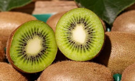 Le Kiwi de France à la carte de 5 Chef(fe)s