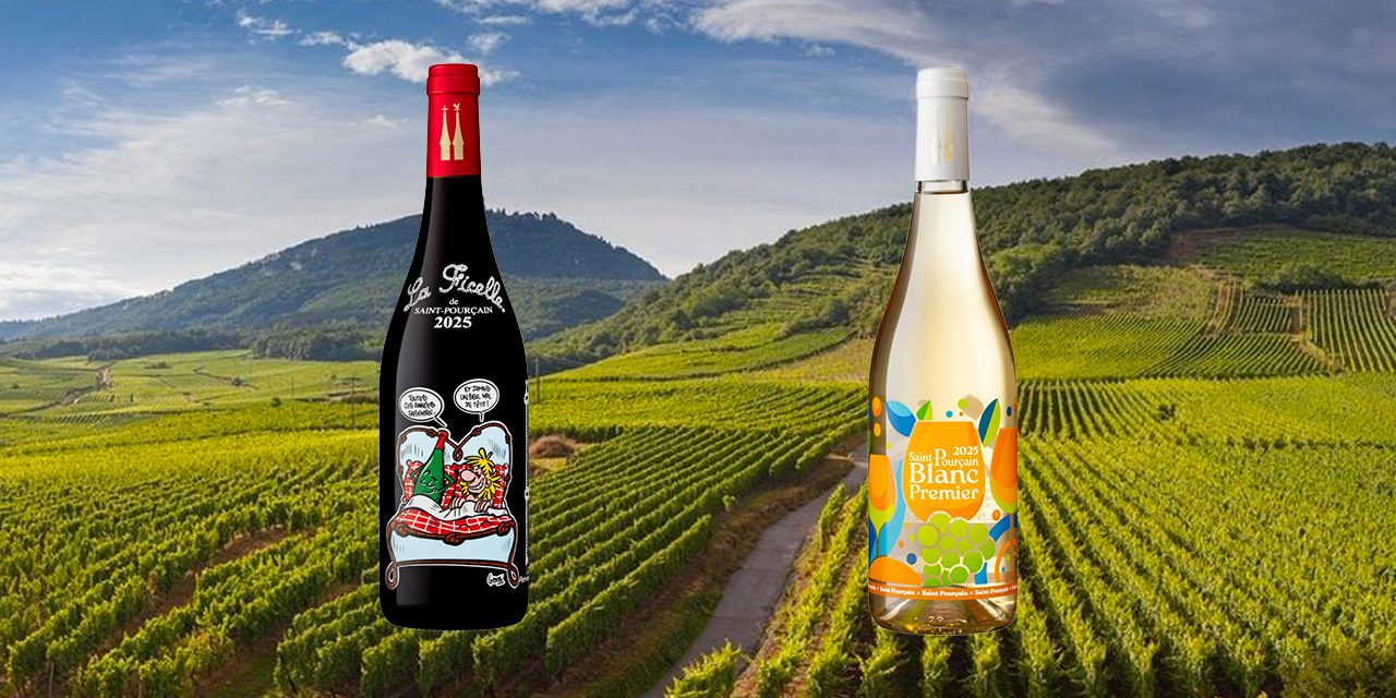 La Ficelle 2025 AOC Saint Pourcain, Bouteille du WE