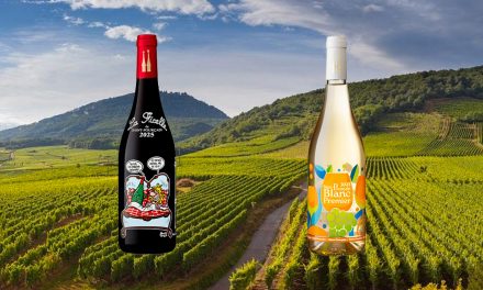 La Ficelle 2025 AOC Saint Pourcain, Bouteille du WE