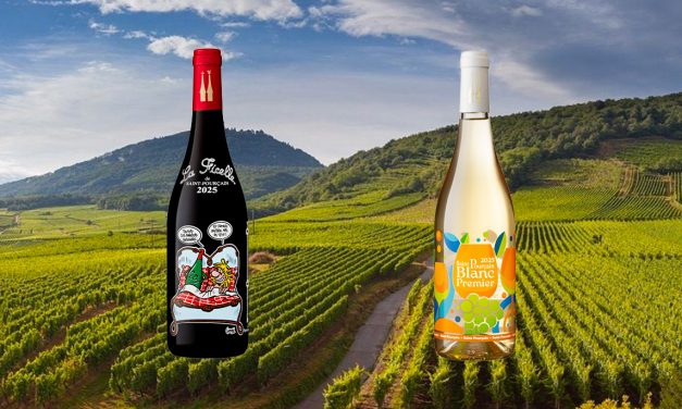 La Ficelle 2025 AOC Saint Pourcain, Bouteille du WE