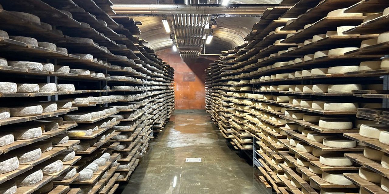 La Tome des Bauges AOP, une gourmandise savoyarde