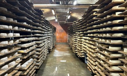 La Tome des Bauges AOP, une gourmandise savoyarde