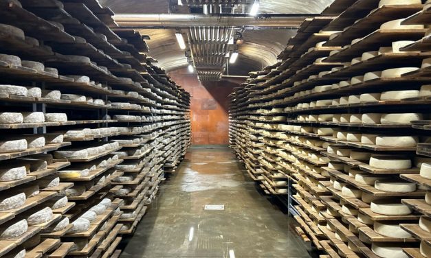 La Tome des Bauges AOP, une gourmandise savoyarde