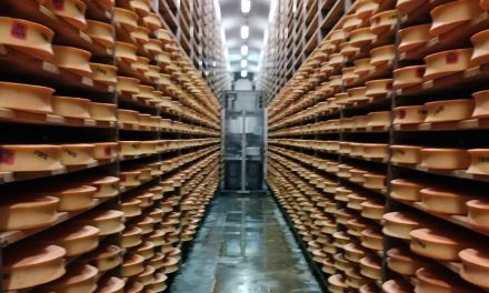 La Tome des Bauges AOP, une gourmandise savoyarde