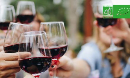 Le vin bio séduit les jeunes Français et résiste à la crise