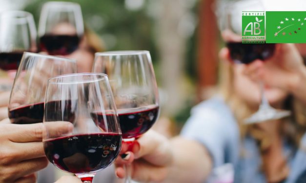 Le vin bio séduit les jeunes Français et résiste à la crise