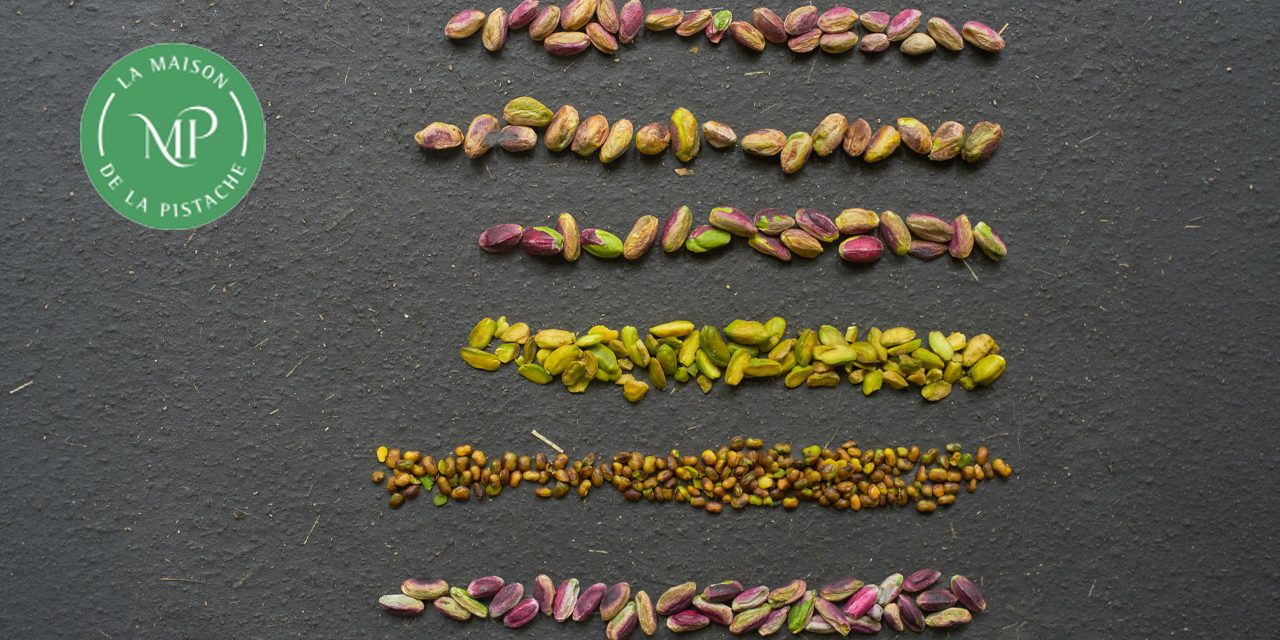 La pistache, c&rsquo;est tout un monde