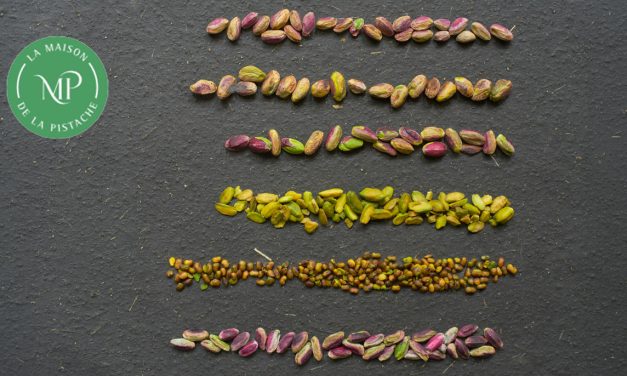 La pistache, c&rsquo;est tout un monde